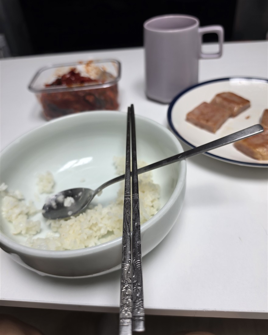 입맛 없어서 반쯤 남긴 밥공기
