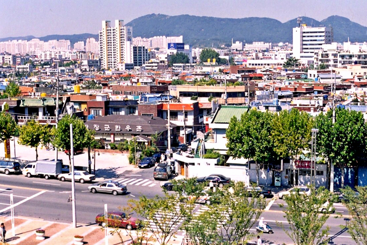 두류공원에서 내려다본 대구 시내 전경
