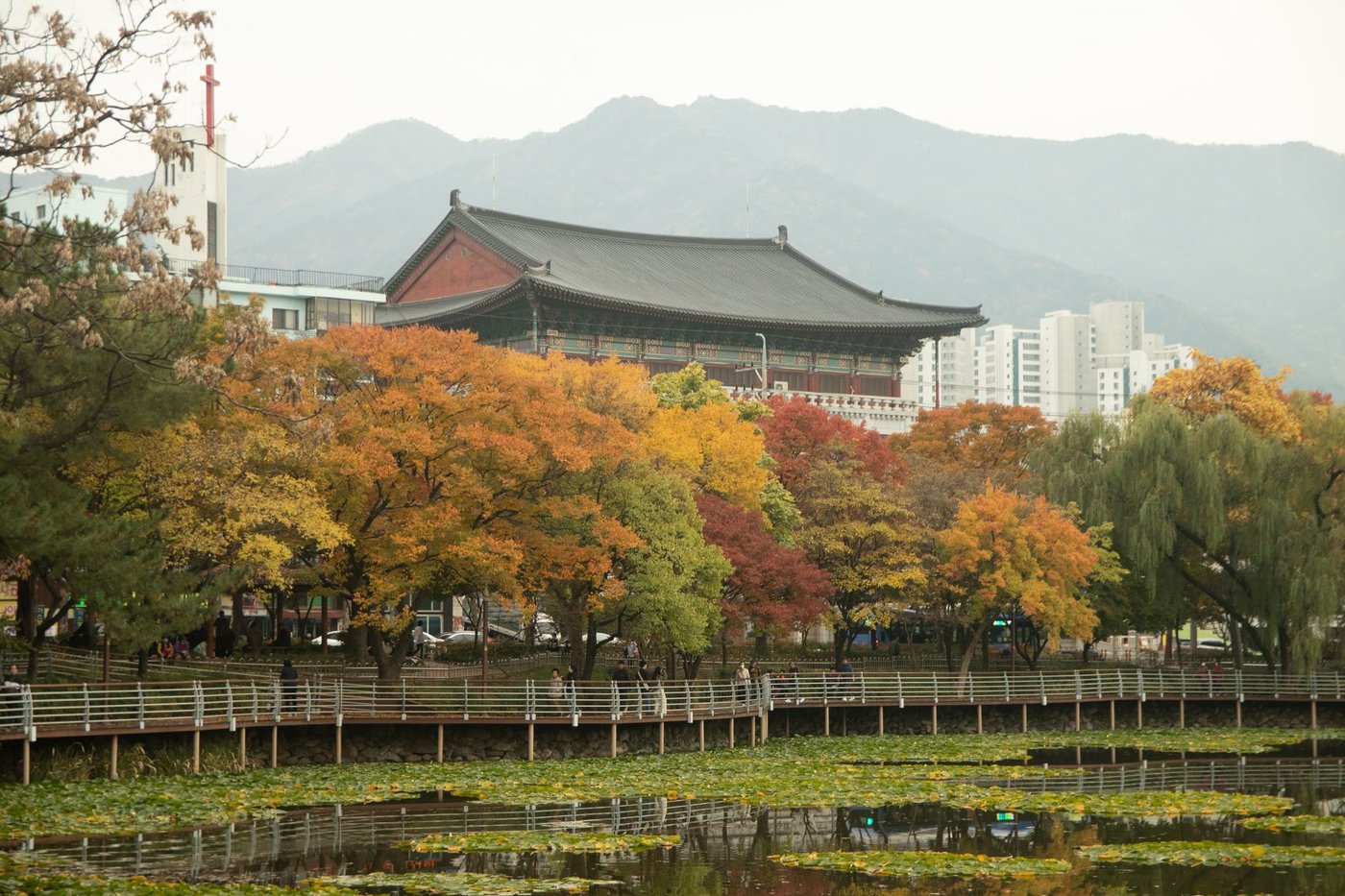대구 동성로 거리 가을 풍경