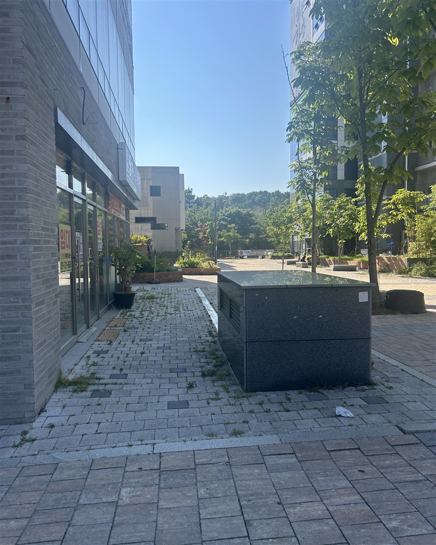 아침 동네 골목 산책길