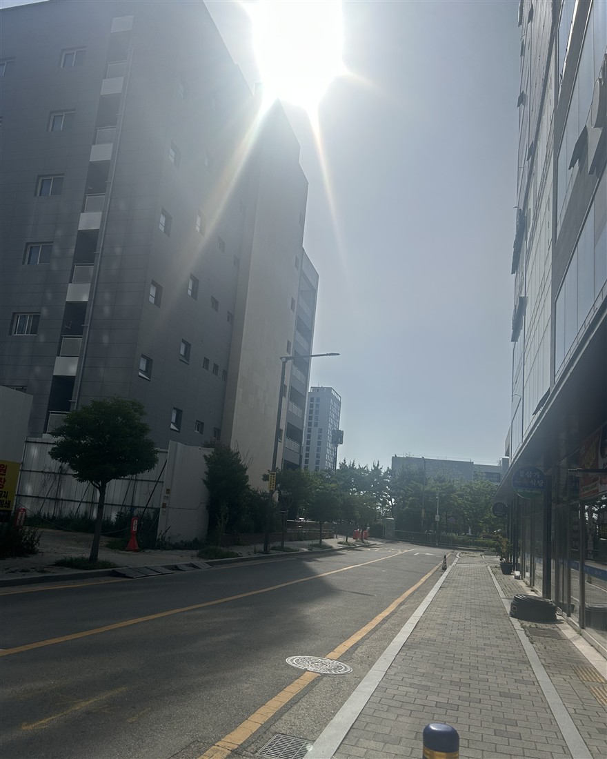 아침 일찍 점집 가는 길 거리 풍경