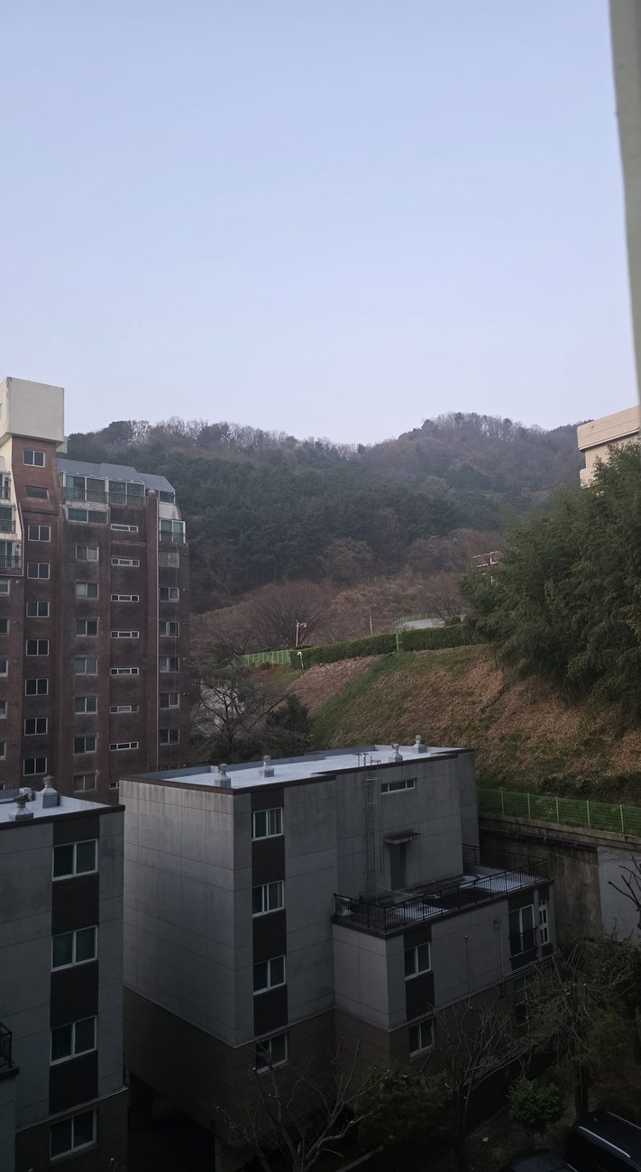 서울 주택가 창가에서 내다본 오후 풍경
