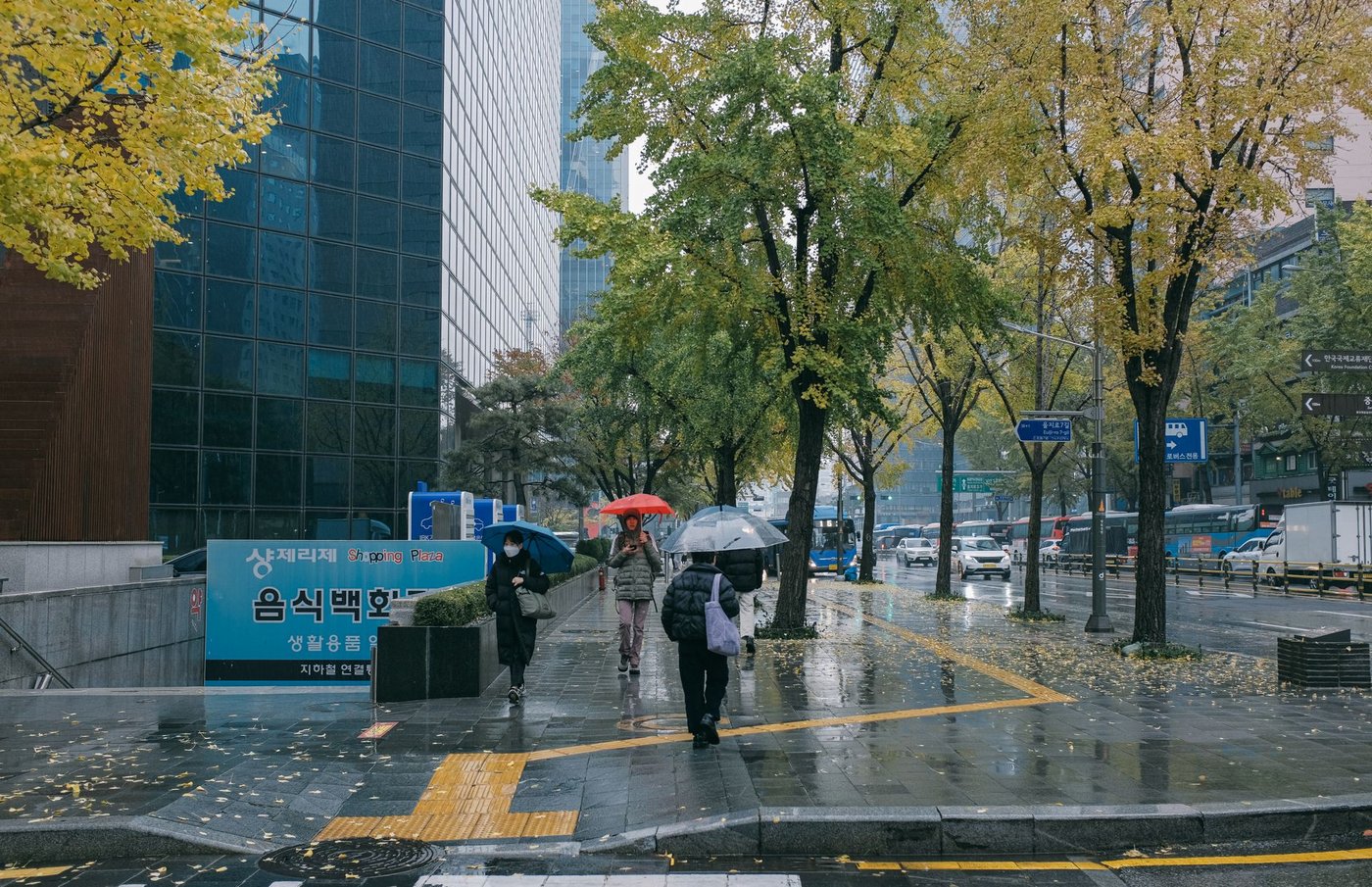 가을 아침 서울 신촌 거리와 건물 풍경