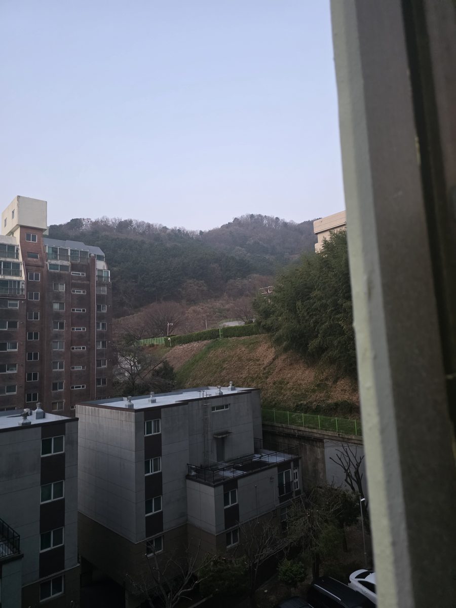 새벽에 창밖으로 내다본 동네와 산