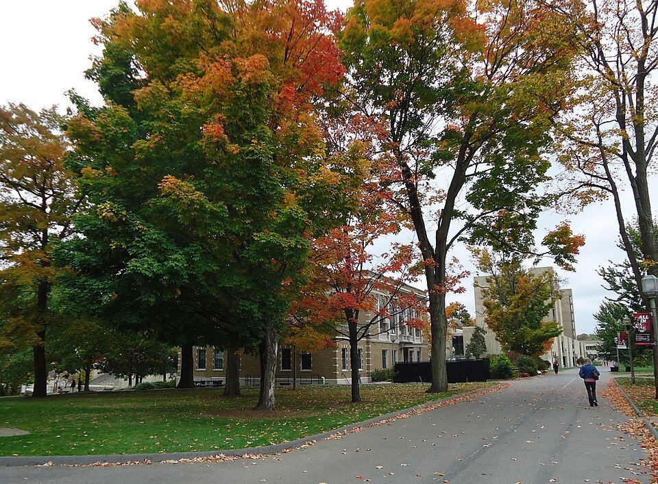 Autumn foliage on an American university campus walkway